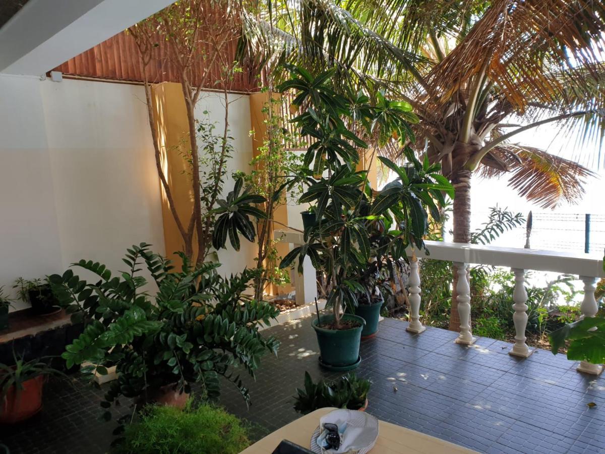 Cactus Guest House Cidade Velha Exteriör bild